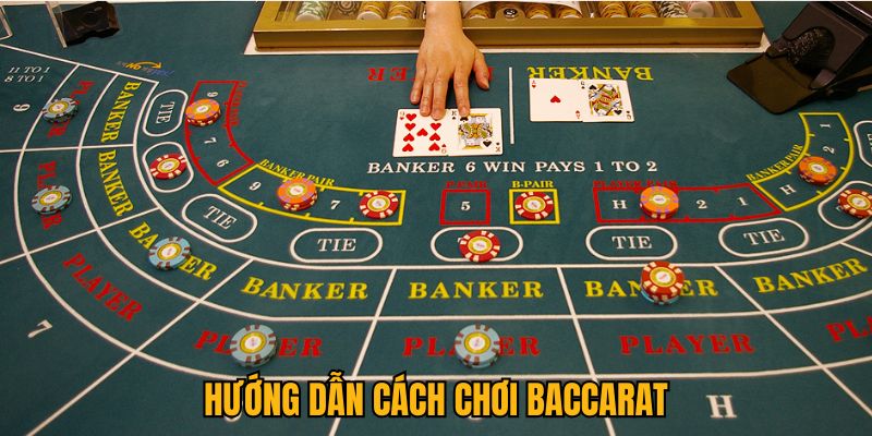 Update nhanh những kiến thức về cách chơi baccarat