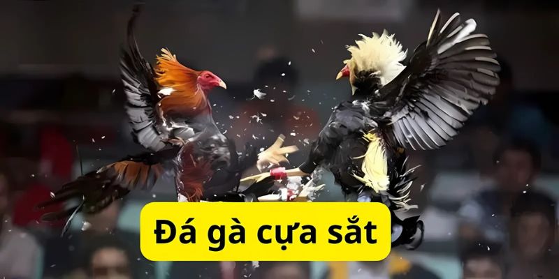Đá Gà Cựa Sắt 88bet: Trải Nghiệm Cá Cược Kịch Tính
