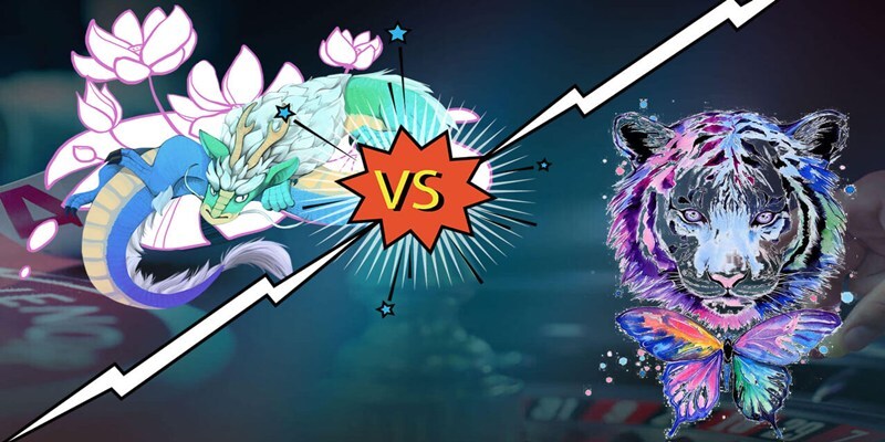 Bí kíp đặt cược hiệu quả từ rồng hổ 88bet